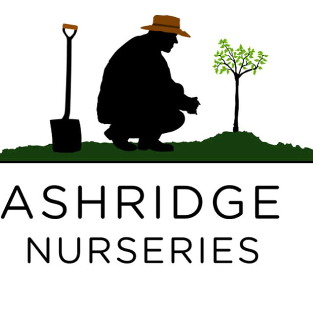Ashridge Nurseries