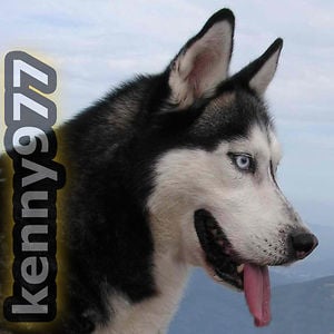 Profile picture for kenny977