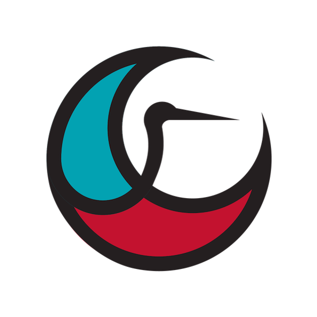 Chippewa Government Solutions