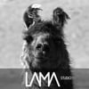 LAMA
