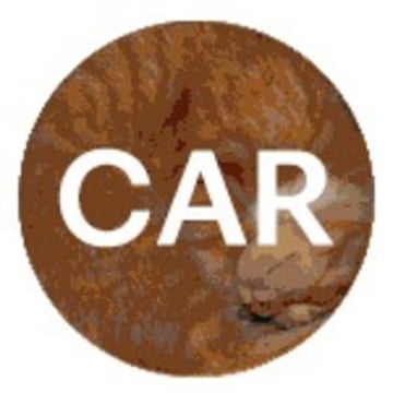 Vimeo profile picture for @car