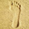 Mudwalkers