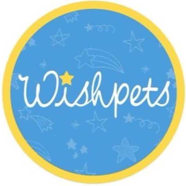 wishpets dolphin