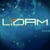 LIDAM Animation