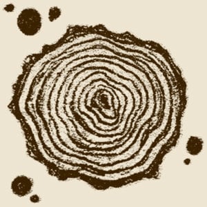 Profile picture for eclectic_press