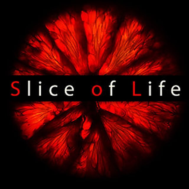 slice-of-life