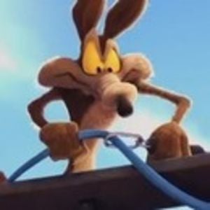 Profile picture for coyotelela