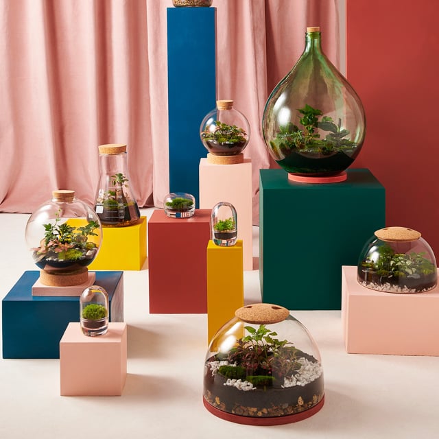 London Terrariums