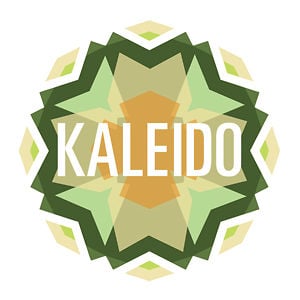 Profile picture for Project Kaleido