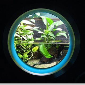 Vimeo profile picture for @piranhas