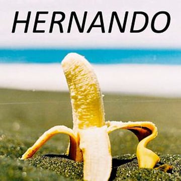 Vimeo profile picture for @hernando