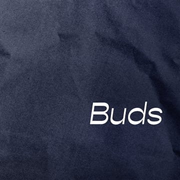 Vimeo profile picture for @buds