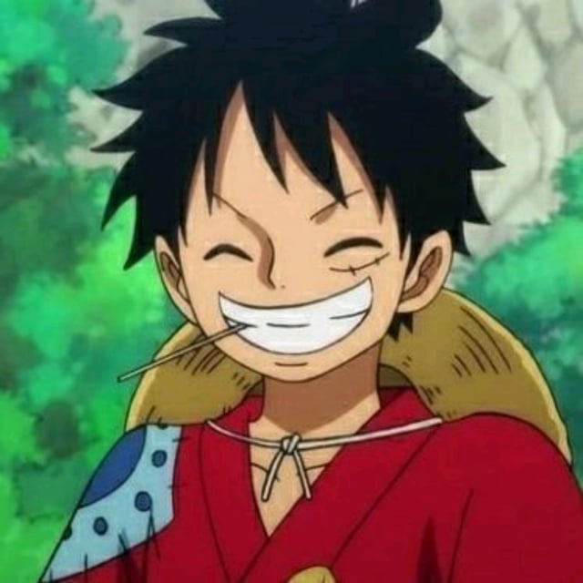 msp luffy