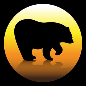 Bear город. Bear City Кемерово.