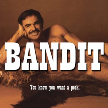Vimeo profile picture for @bandit