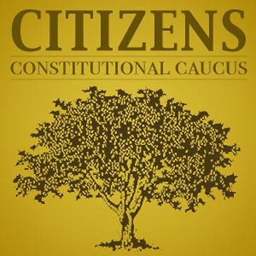 Vimeo profile picture for @constitution