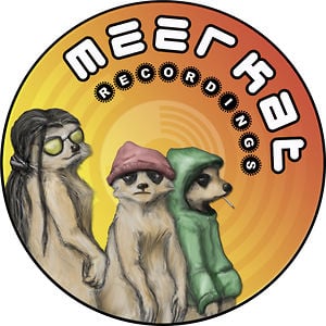 Profile picture for Meerkat Recordings
