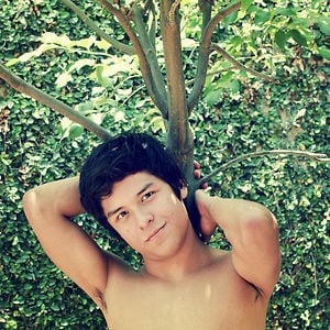 Profile picture for David Zafra