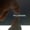 Tiny Pictures