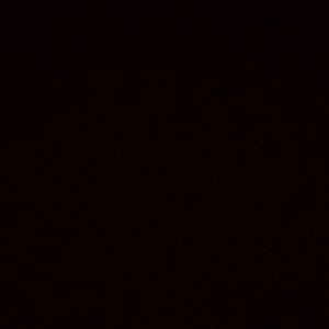 Profile picture for hannah ireland