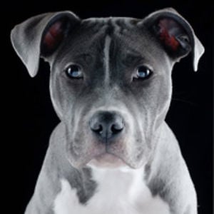 Profile picture for Rene Garcia