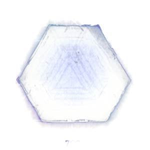 Profile picture for winterpropaganda musicvideos