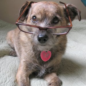 Profile picture for Sean Curnyn