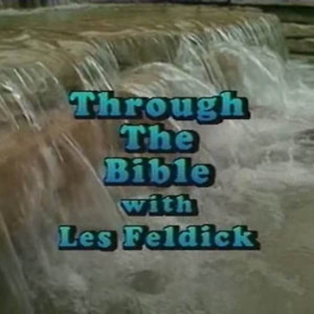 Through the bible w les feldick