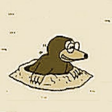 Vimeo profile picture for @gopher