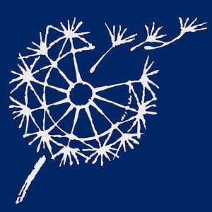 Résultat de recherche d'images pour "disapora"