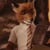Kevin Fox