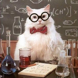 Profile picture for Chemistry Cat