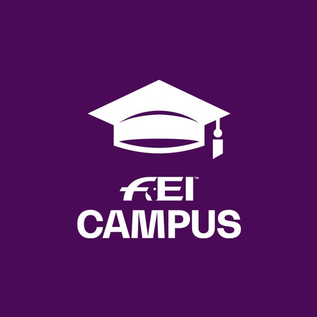 FEI Education