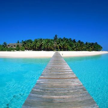 Vimeo profile picture for @maldives