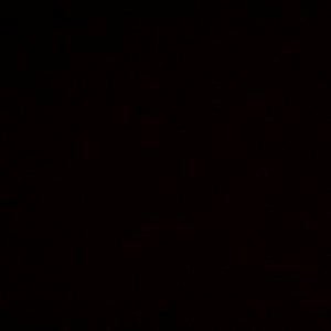 Profile picture for Sample Video