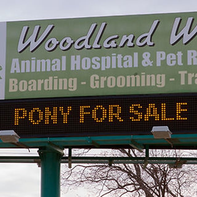 Woodland West Pet Resort