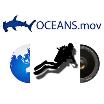 Vimeo profile picture for @oceans