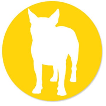 Vimeo profile picture for @ouidesign