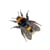 NatureGuides