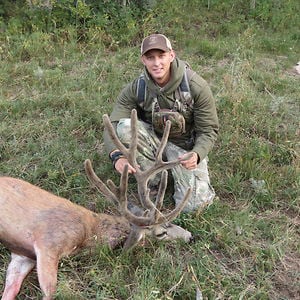 Profile picture for Erik Buchmiller