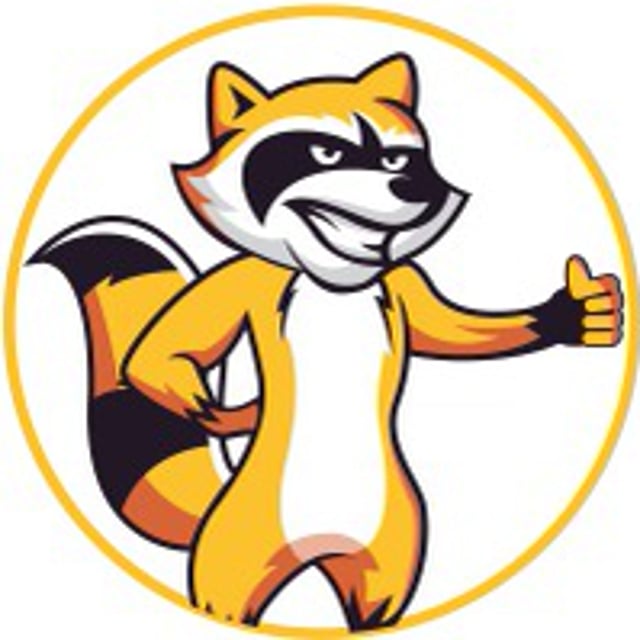 Chicago Racoons