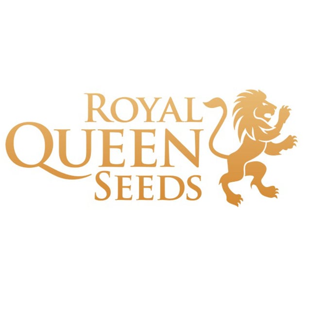 Royal Queen Seeds