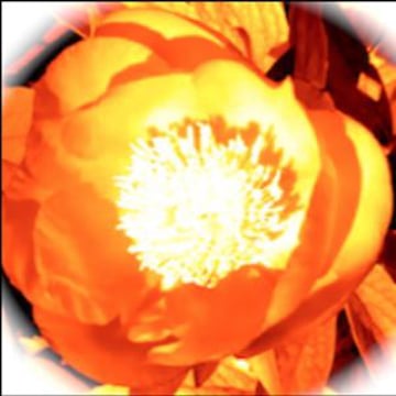 Vimeo profile picture for @motivations