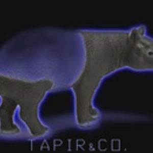 Profile picture for Tapir and Co