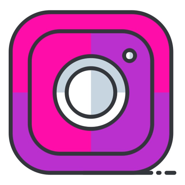 SnapInsta Instagram Downloader