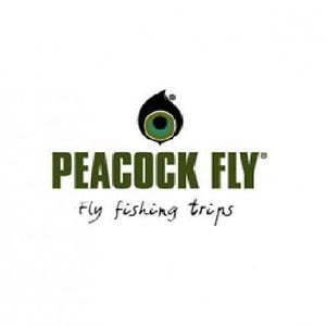 Profile picture for Peacock Fly