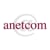 Anetcom