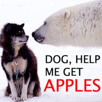 Vimeo profile picture for @apples
