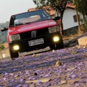 Profile picture for PauloJr