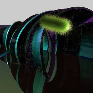 Profile picture for hard-core